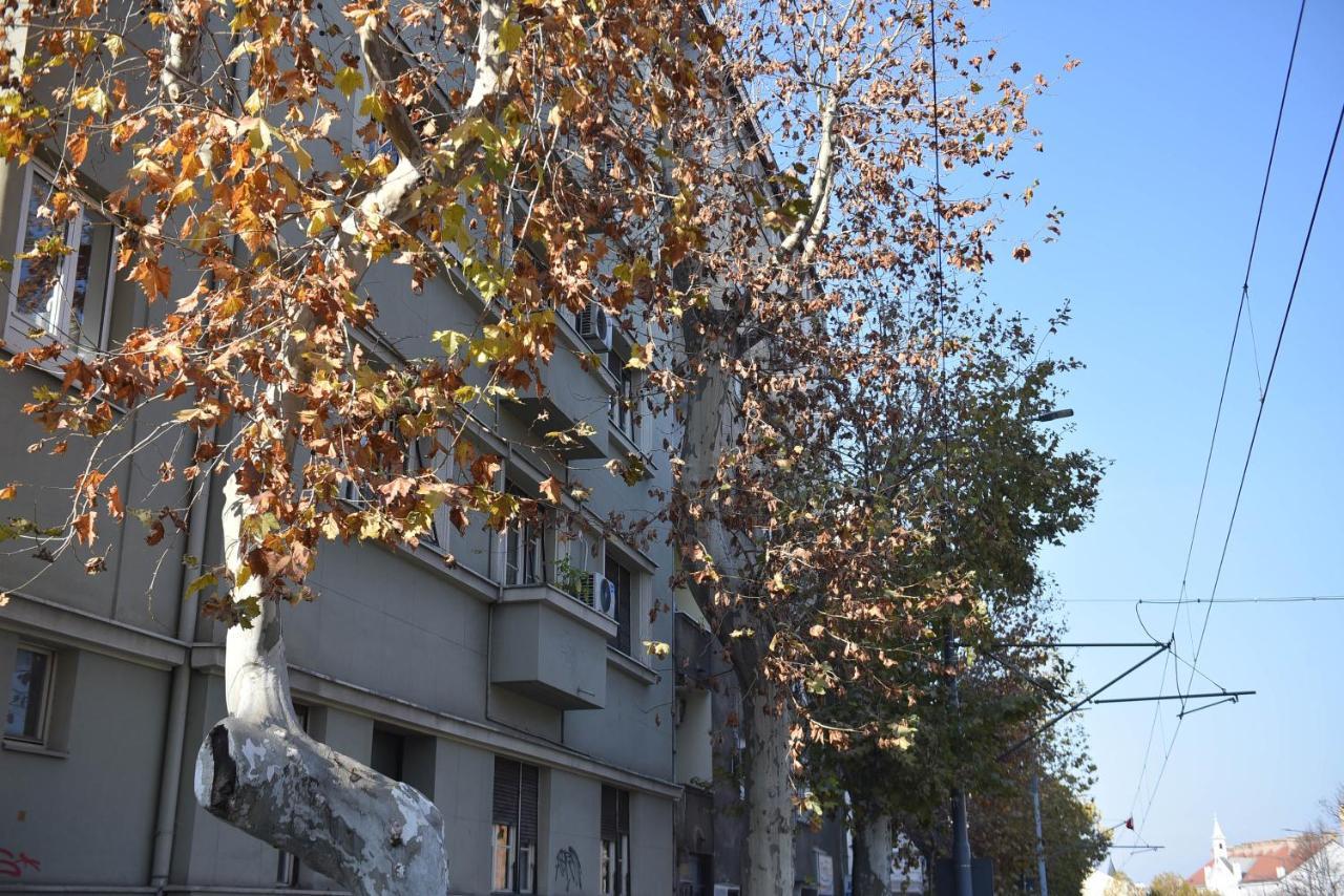 Friendly Home Apartment Beograd Eksteriør bilde